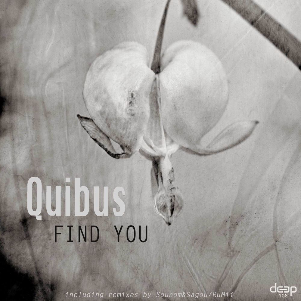 Quibus - Find You [DEEP106]